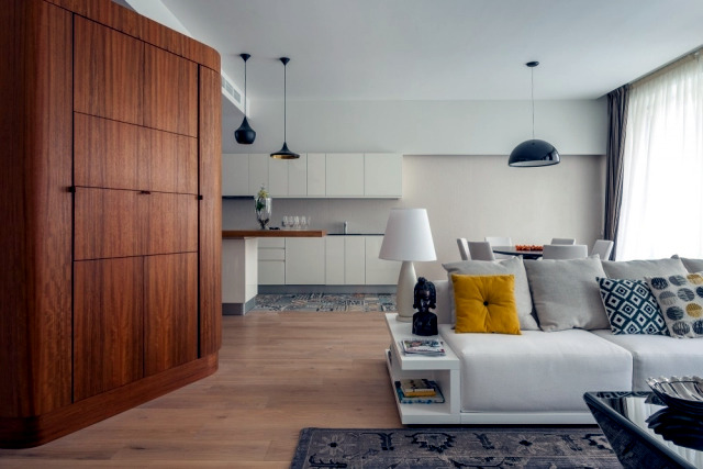 Idea for apartment contemporary setting and functionality Idea for apartment contemporary setting and functionality