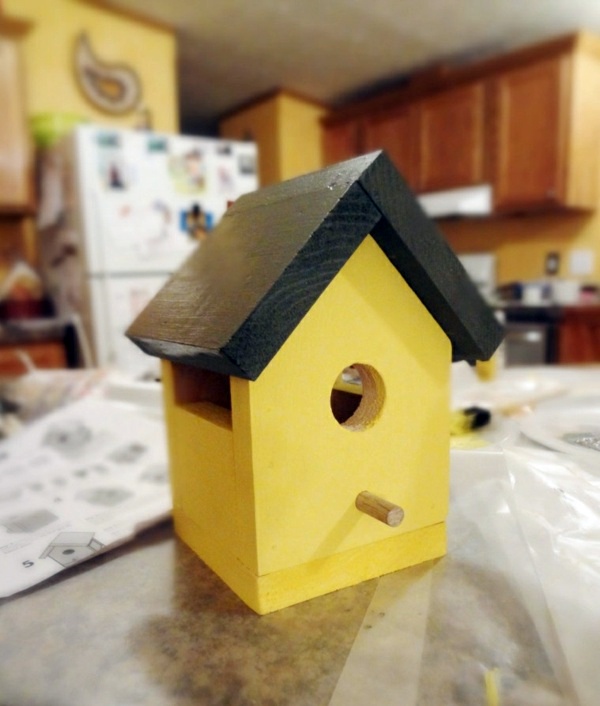 Build bird house itself - you contribute to wildlife