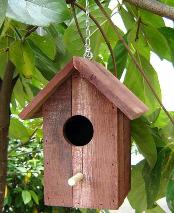 Build bird house itself – you contribute to wildlife 