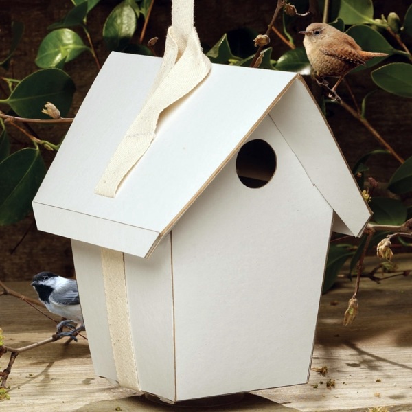 Build bird house itself - you contribute to wildlife