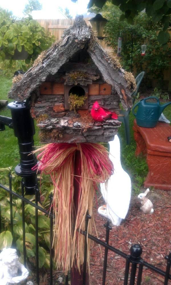 Build bird house itself - you contribute to wildlife Build bird house itself - you contribute to wildlife