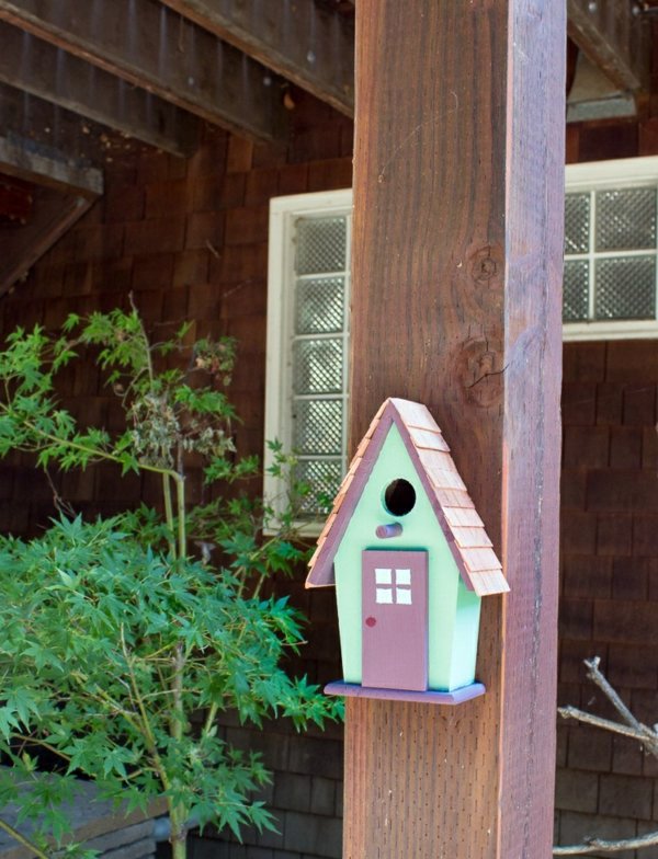 Build bird house itself - you contribute to wildlife Build bird house itself - you contribute to wildlife