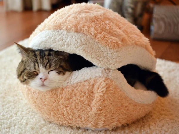 Pet Friendly Cat Furniture and Cat Trees Pet Friendly Cat Furniture and Cat Trees