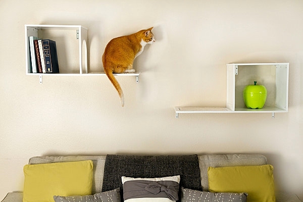 Pet Friendly Cat Furniture and Cat Trees Pet Friendly Cat Furniture and Cat Trees