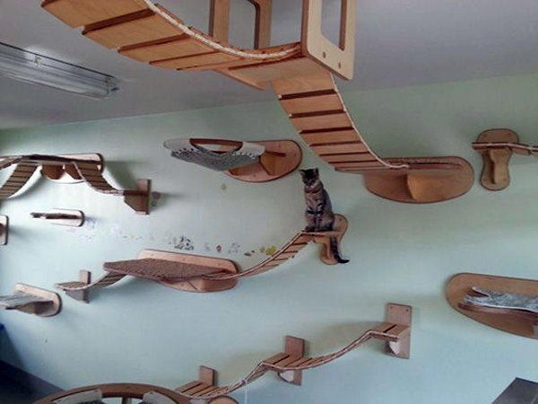 Pet Friendly Cat Furniture and Cat Trees Pet Friendly Cat Furniture and Cat Trees
