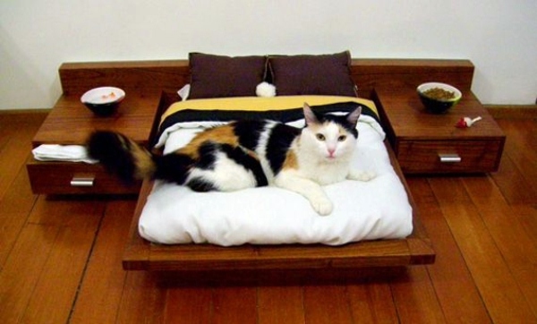 Pet Friendly Cat Furniture and Cat Trees Pet Friendly Cat Furniture and Cat Trees