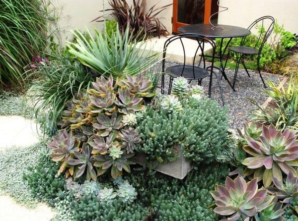 Plant encyclopedia - Outdoor plants for your shade areas