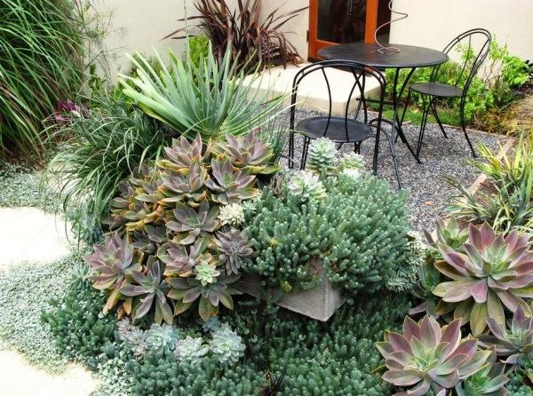 Plant encyclopedia - Outdoor plants for your shade areas Plant encyclopedia - Outdoor plants for your shade areas