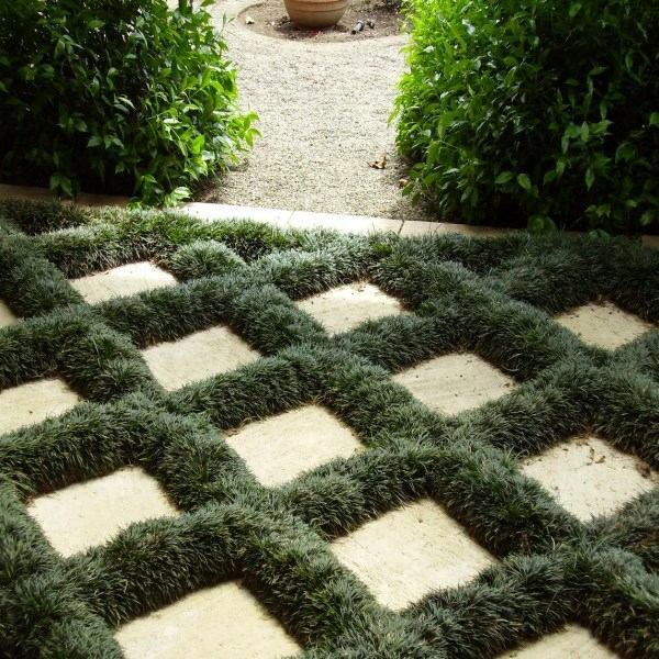 Gartengestaltung - Plant encyclopedia - Outdoor plants for your shade areas Gartengestaltung - Plant encyclopedia - Outdoor plants for your shade areas