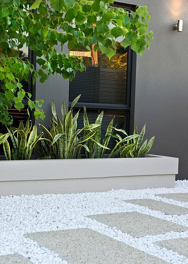 Plant encyclopedia - Outdoor plants for your shade areas Plant encyclopedia - Outdoor plants for your shade areas