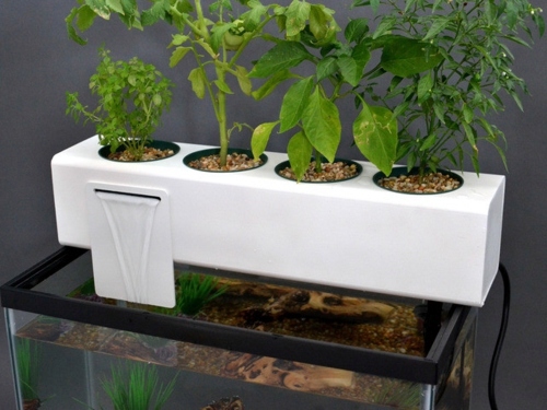 High-tech plant equipment