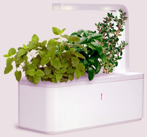 High-tech plant equipment