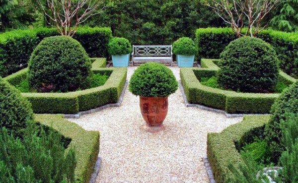 Boxwood plants and gardens - look wonderful in terracotta containers Boxwood plants and gardens - look wonderful in terracotta containers