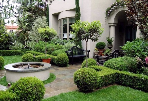 Boxwood plants and gardens - look wonderful in terracotta containers Boxwood plants and gardens - look wonderful in terracotta containers