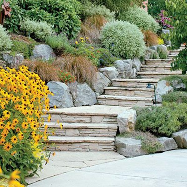 Spice deck and garden design by plants Avso