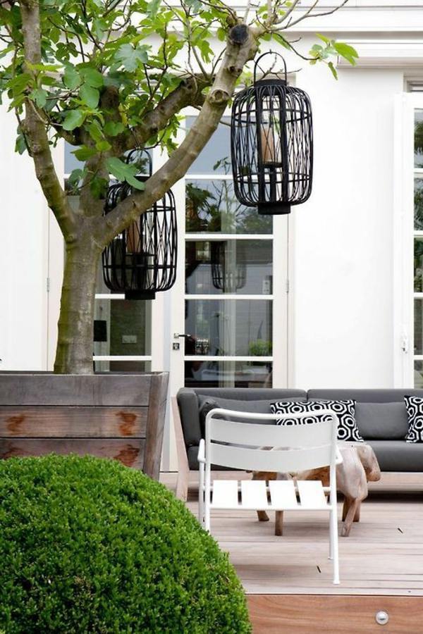 Spice deck and garden design by plants