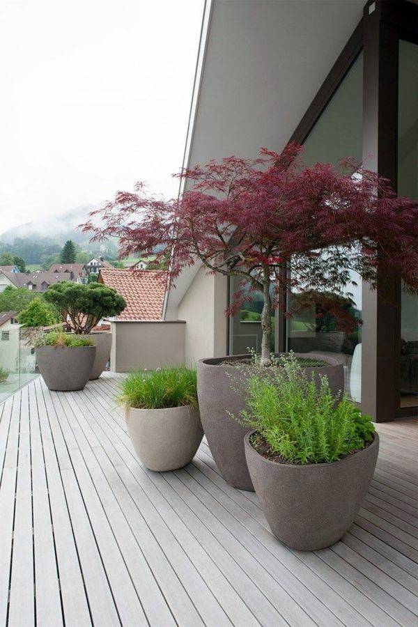 Spice deck and garden design by plants