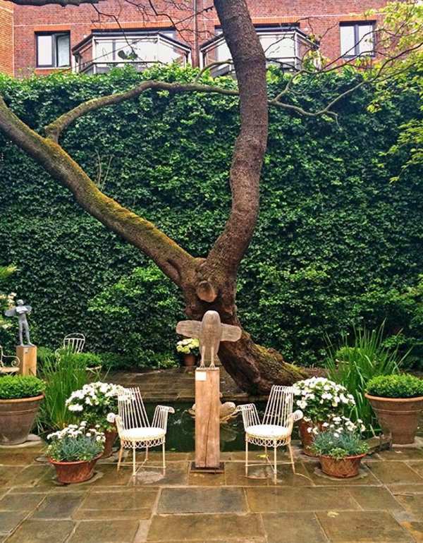 Spice deck and garden design by plants