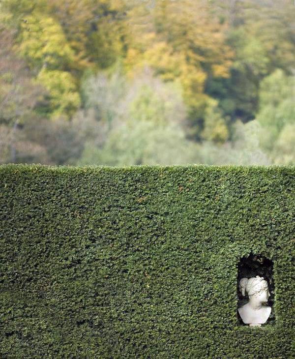 Garden fence design - 20 inspiring examples of self-made garden fences