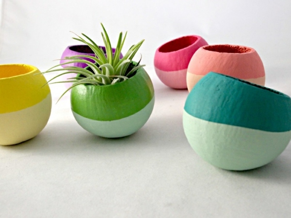 Modern planters designed for air plants from experts Modern planters designed for air plants from experts