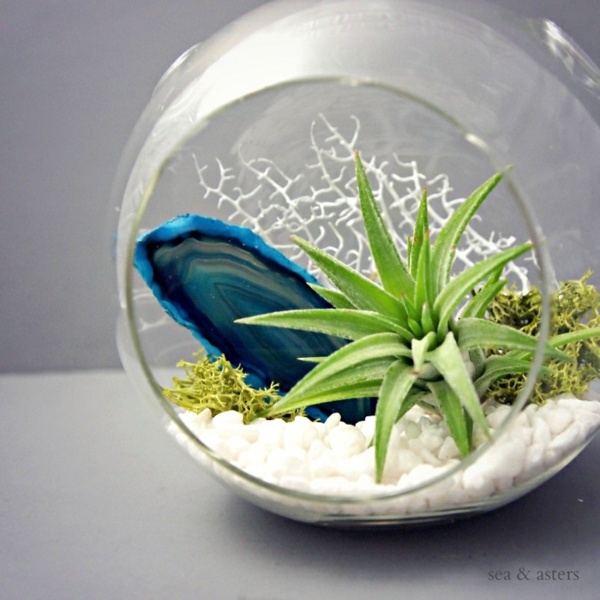 Modern planters designed for air plants from experts Modern planters designed for air plants from experts