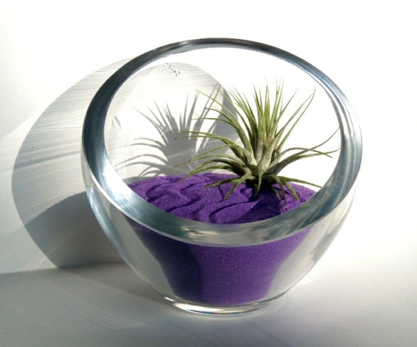 Modern planters designed for air plants from experts Modern planters designed for air plants from experts