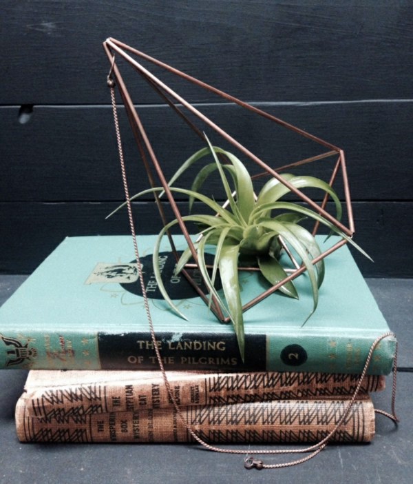 Modern planters designed for air plants from experts Modern planters designed for air plants from experts