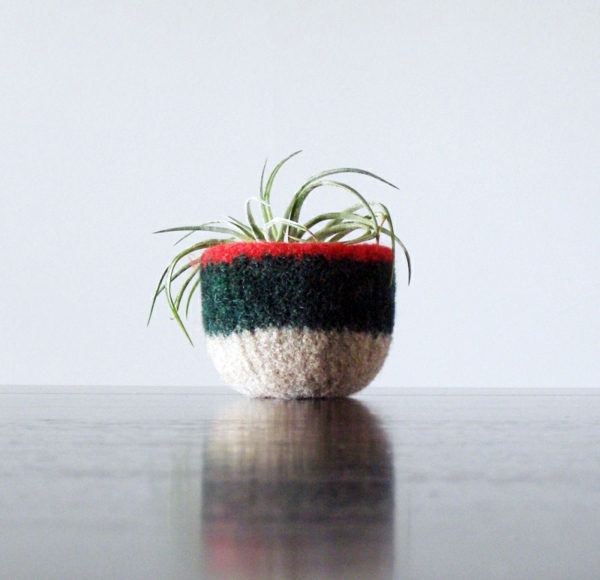 Modern planters designed for air plants from experts Modern planters designed for air plants from experts