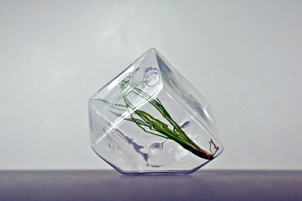 Modern planters designed for air plants from experts Modern planters designed for air plants from experts