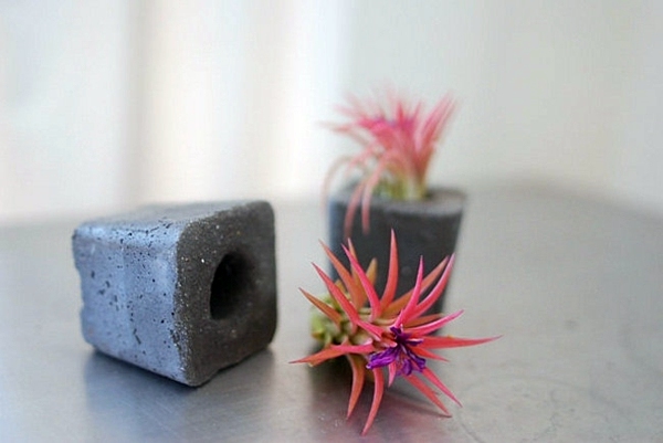 Modern planters designed for air plants from experts Modern planters designed for air plants from experts
