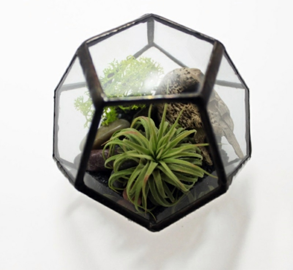 Modern planters designed for air plants from experts Modern planters designed for air plants from experts