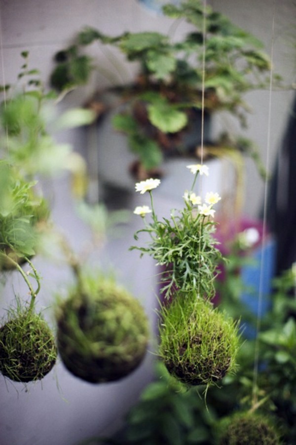 60 beautiful garden ideas - garden pictures for garden decorations 60 beautiful garden ideas - garden pictures for garden decorations