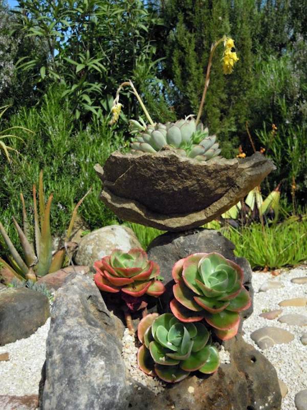 60 beautiful garden ideas - garden pictures for garden decorations 60 beautiful garden ideas - garden pictures for garden decorations