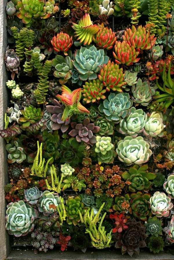 60 beautiful garden ideas - garden pictures for garden decorations 60 beautiful garden ideas - garden pictures for garden decorations