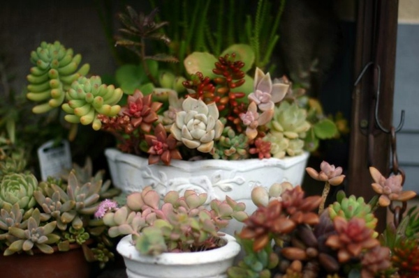 60 beautiful garden ideas - garden pictures for garden decorations 60 beautiful garden ideas - garden pictures for garden decorations