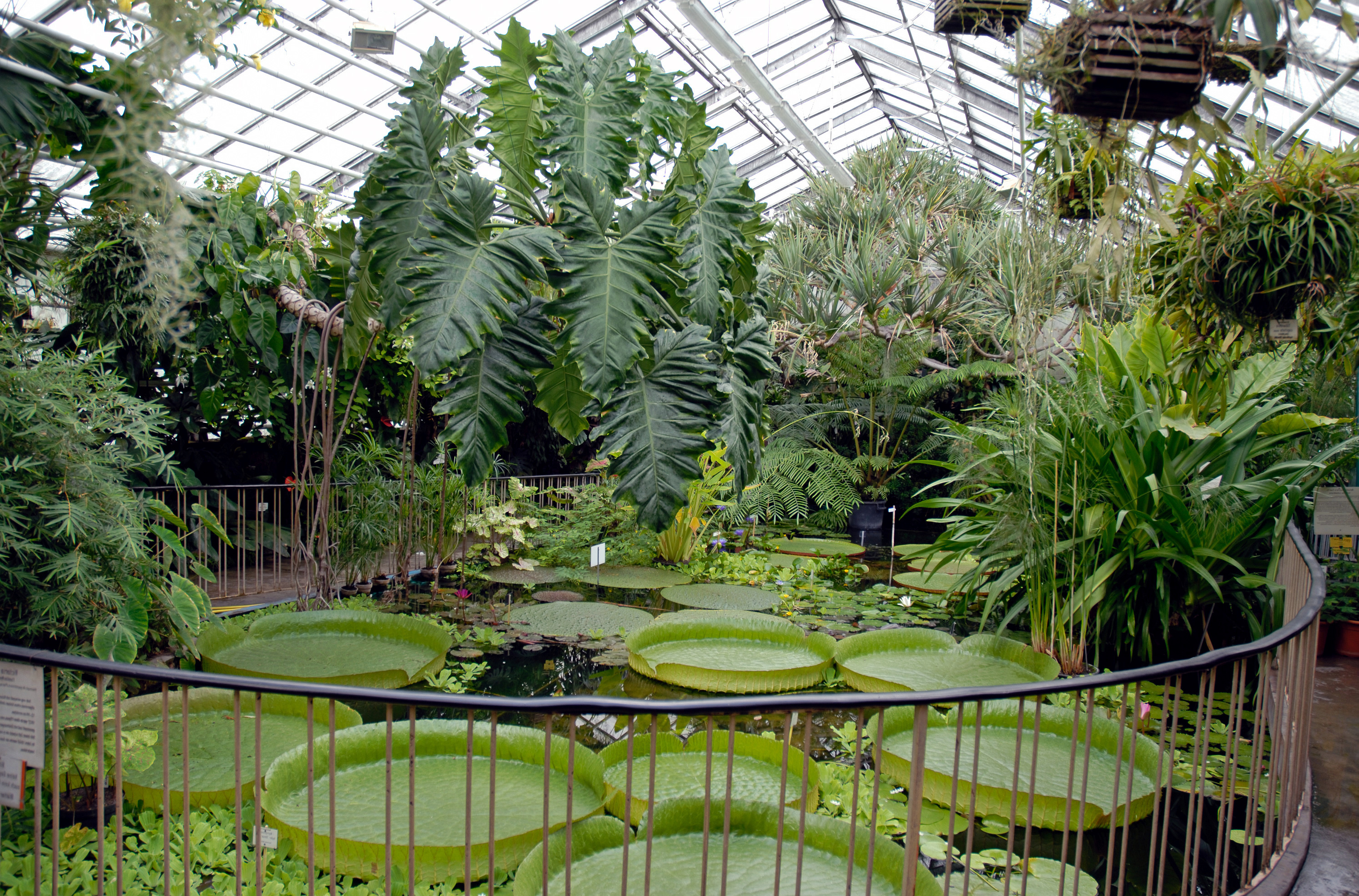 Botanical gardens in germany avso