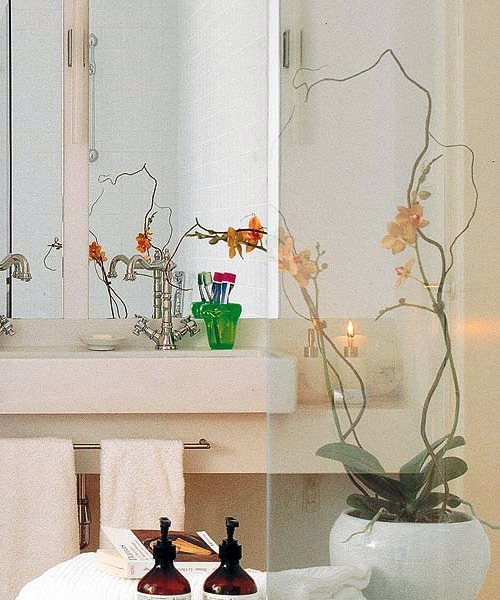 14 Luxury ideas for decorating with orchids 14 Luxury ideas for decorating with orchids