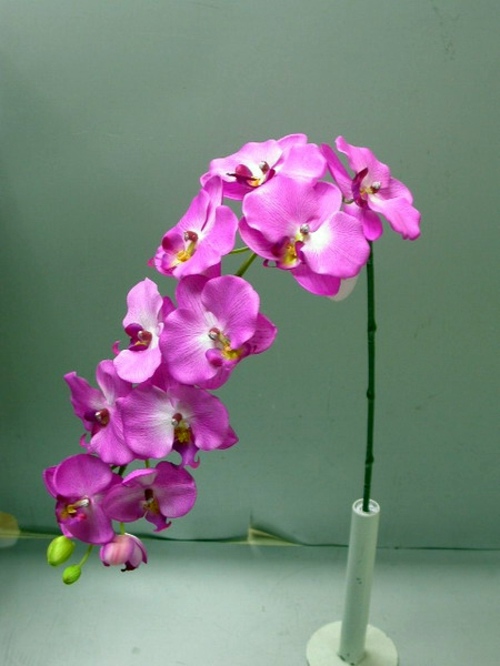 14 Luxury ideas for decorating with orchids 14 Luxury ideas for decorating with orchids