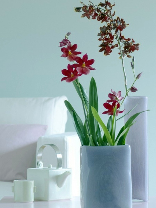 14 Luxury ideas for decorating with orchids 14 Luxury ideas for decorating with orchids