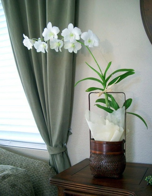 14 Luxury ideas for decorating with orchids 14 Luxury ideas for decorating with orchids