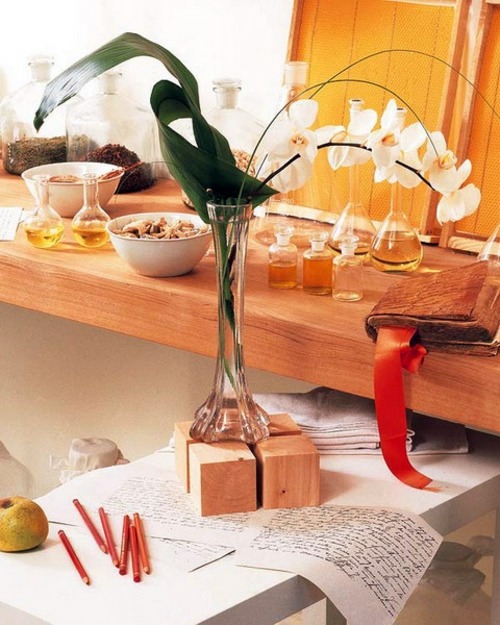 14 Luxury ideas for decorating with orchids 14 Luxury ideas for decorating with orchids