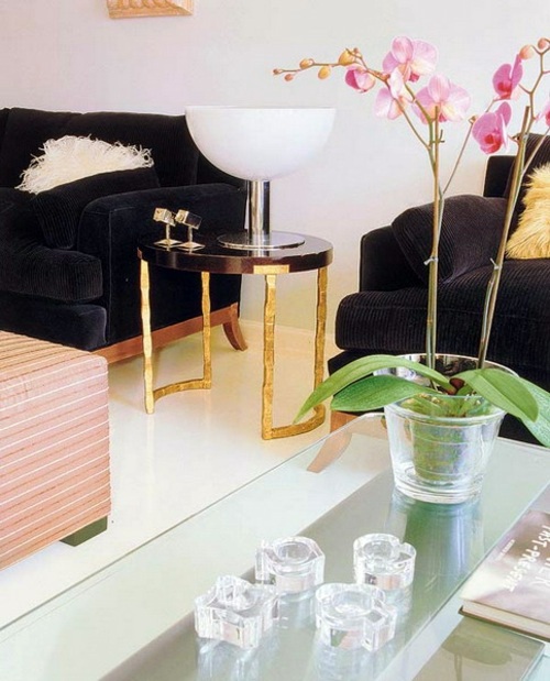 14 Luxury ideas for decorating with orchids 14 Luxury ideas for decorating with orchids