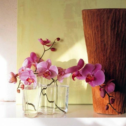 14 Luxury ideas for decorating with orchids 14 Luxury ideas for decorating with orchids