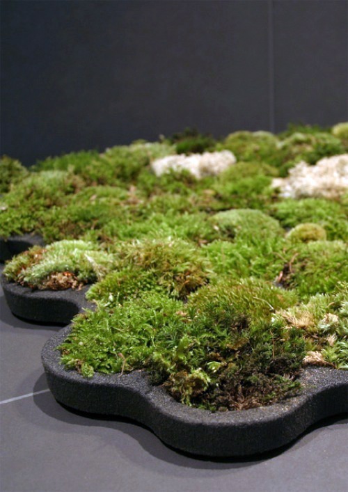 Living La Chanh Nguyen of bath mat - Baolam Design