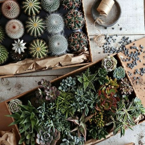 Eco-friendly furniture and home products with modern swing
