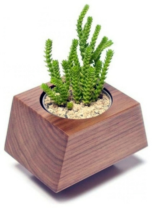 Eco-friendly furniture and home products with modern swing