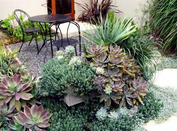 The best plants for shaded areas