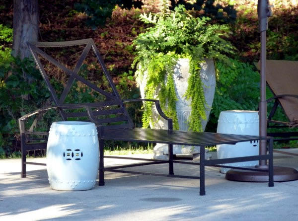 The best plants for shaded areas