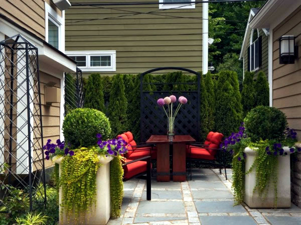 The best plants for shaded areas The best plants for shaded areas