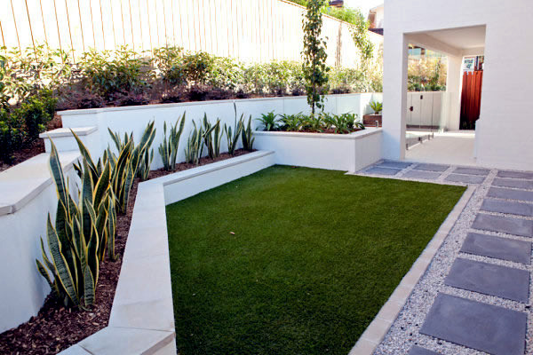 The best plants for shaded areas
